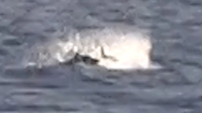 GT breaking the surface