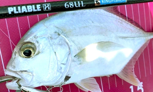 PLIABLE 68UL 実釣写真 3