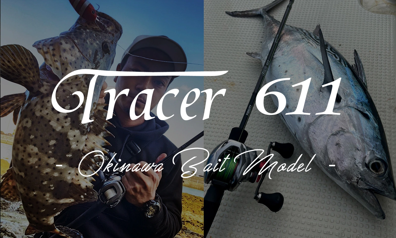 TRACER 611